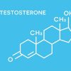 Testosterone là gì? Vai trò của hormone nam giới đối với sức khỏe